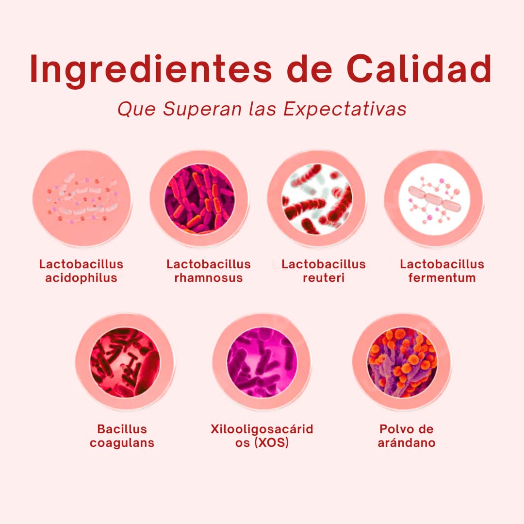 Suplemento Probiótico Quit Mood – 60 Cápsulas