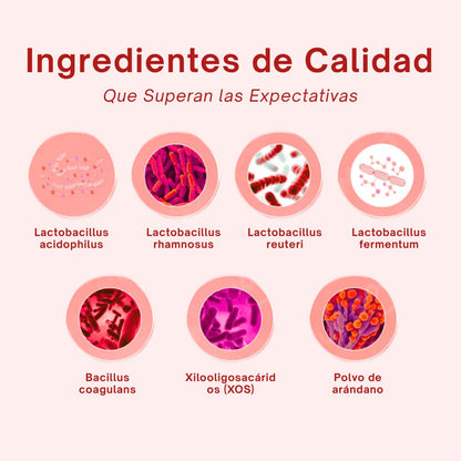 Suplemento Probiótico Quit Mood – 60 Cápsulas